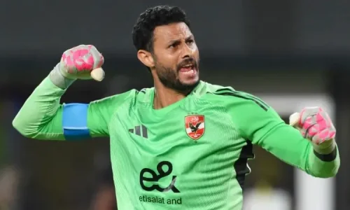 تقرير الحكم يفجر مفاجأة في واقعة الشناوي