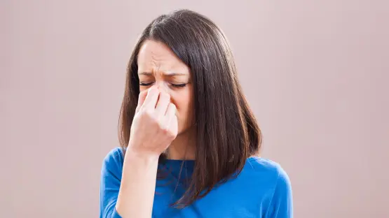 الجيوب الأنفية